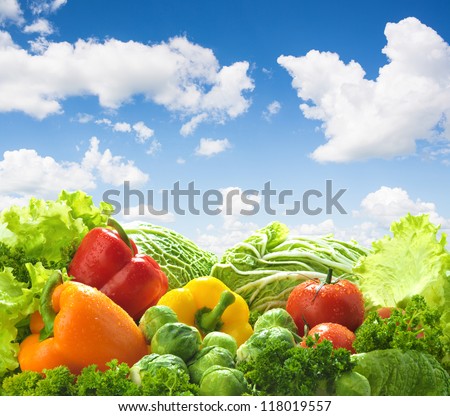 Healthy Food Landscape Against Blue Sky. Mixed Vegetables.