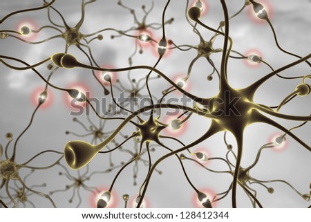neurons, transferring pulses and generating information.