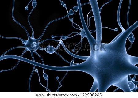 neurons, transferring pulses and generating information.