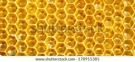 honeycomb pattern banner