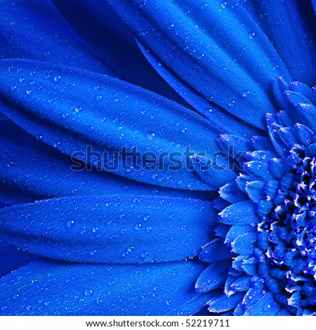 Beautiful Flower on Beautiful Flower Background Stock Photo 52219711   Shutterstock