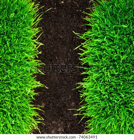 grass and soil background