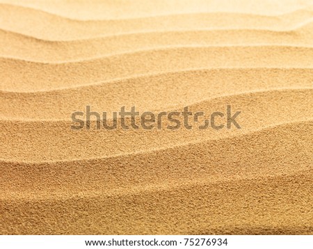 beach sand background. stock photo : each sand