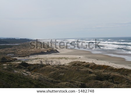 Oregon Coast beach scene