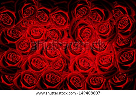 natural roses background