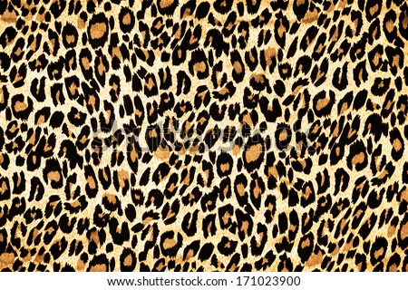 Leopard Fur As Background