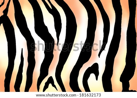 zebra print image