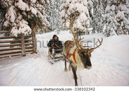Winter Lapland Reindeer sled racing in Ruka, in Finland. Selective focus