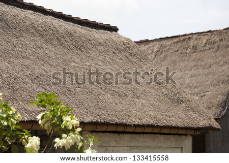 Straw roof structure  - typical 18 th century construction.