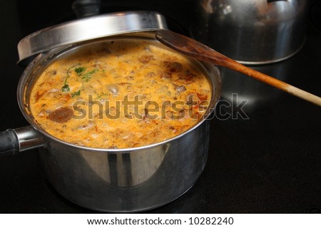 Food/stew in a pot on stove