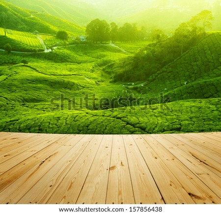 Tea Plantations at Cameron Highlands Malaysia wood floor perspective Sunrise in early morning with fog Tea Plantations at Cameron Highlands Malaysia wood floor perspective Sunrise in early morning with fog
