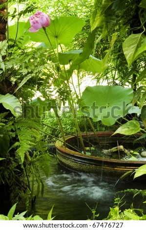 Secret garden, flowing water, lotus flower and plants.