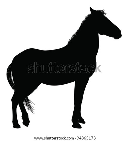 Detailed horse silhouette. Vector eps8