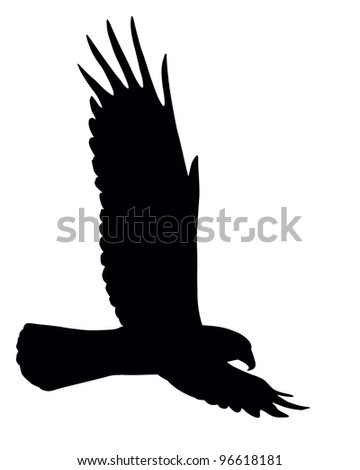 Flying Eagle Silhouette
