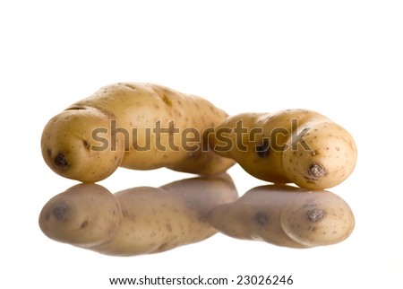 Two potatoes isolated on the white background