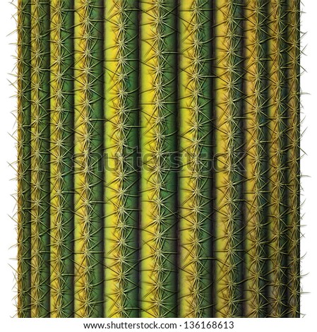 Digital illustration of a cross section of a saguaro cactus.