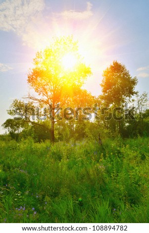 Digital structure of painting. summer glade a solar glade with a tree