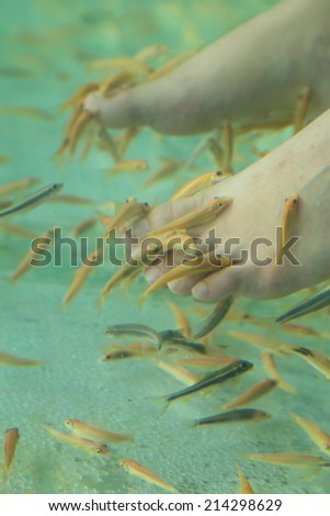 Fish Spa for foot Skin Therapy