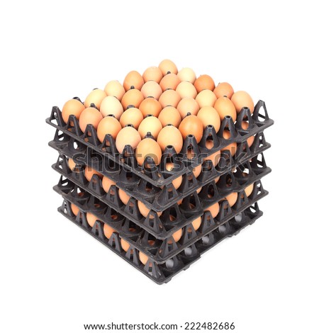 stack of eggs in tray on white background