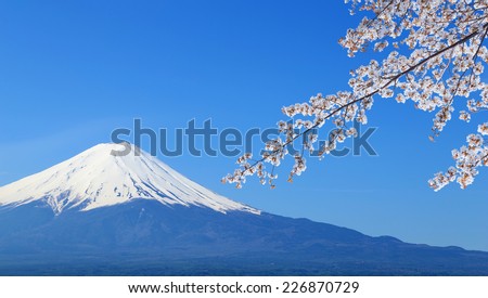 peak of Mount Fuji with Cherry Blossom, view from Lake Kawaguchiko, Japan