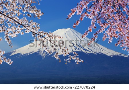 peak of Mount Fuji with Cherry Blossom, view from Lake Kawaguchiko, Japan