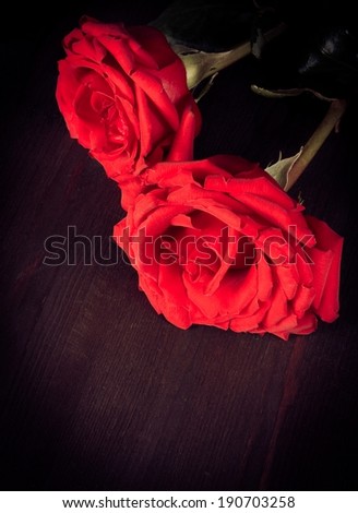 two roses on old wood, old style, valentine day and love concept