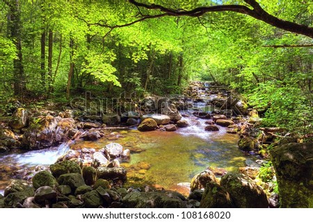 fall forest stream Smolny in russian primorye reserve
