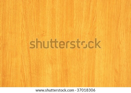 Maple Tree Texture