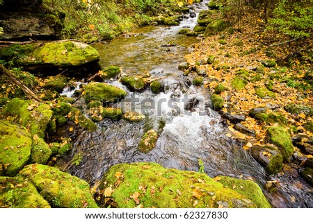fall forest stream Elomovsky in russian primorye Lazo reserve