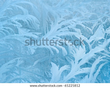 tree like fractal blue ice winter decoration on a window natural background