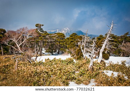 Mountain storm landscape at Hallasan of Jeju island Korea
