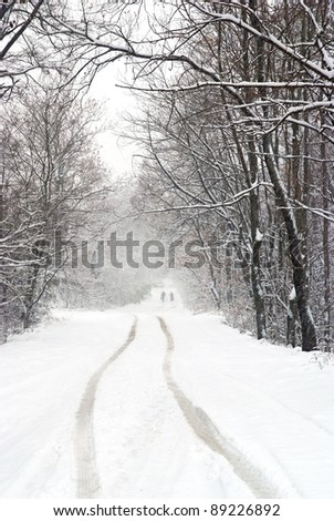 snowfall on the country road