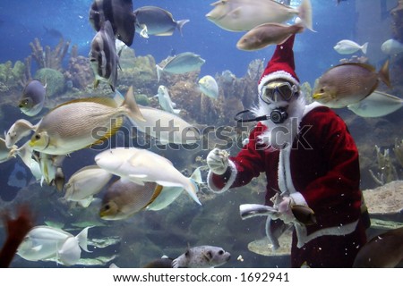 Santa Clause feeding fishes at aquarium. (note: image is slightly grainy due to low light condition.)