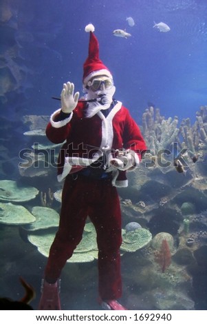 Christmas greeting from Santa Clause diver. (note: image is slightly grainy due to low light condition.)