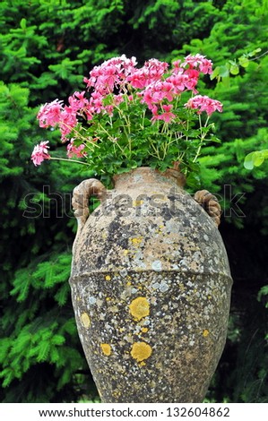 Pink flowers in old vase