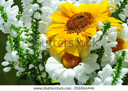 Bouquet of sunflower and chamomile flowers