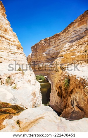 landscape of the gorge in the Negev desert view from top of