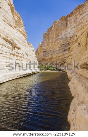 gorge in the Negev desert with a natural water source