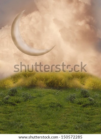 fantansy landscape with big moon and grass