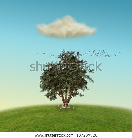 lonely tree in a hill with birds and one single cloud