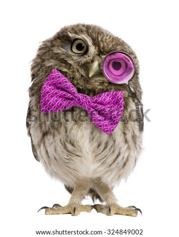 Little Owl wearing magnifying glass and a bow tie in front of a white background