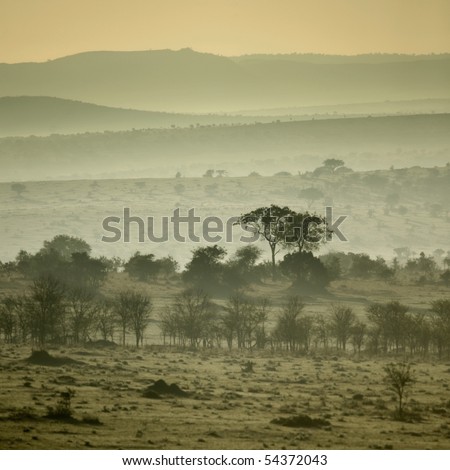 Africa landscape Serengeti National Park, Serengeti, Tanzania