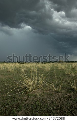 Rain cloud over Africa landscape, Serengeti National Park, Serengeti, Tanzania