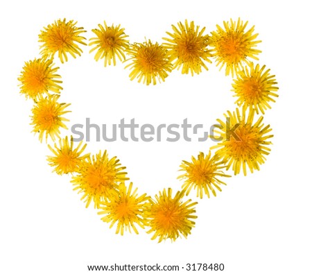 Dandelion Heart