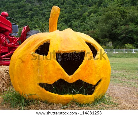 Halloween pumpkin in garden