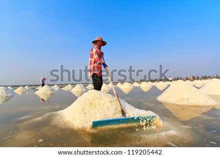 People working in the salt field