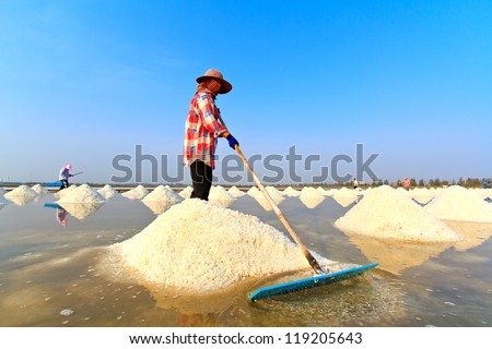 People working in the salt field