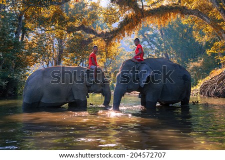 SANGKHLABURI , KANJANABURI, THAILAND-MARCH 23 : An unidentified man shows how to bathe an elephant in a river show in Sangkhlaburi, Kanjanaburi, Thailand on MARCH 23, 2013