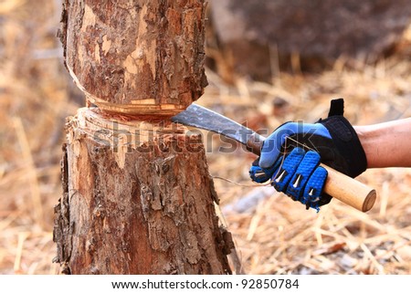 Handle a knife to cut the trees.