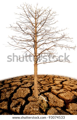 Barren Soil